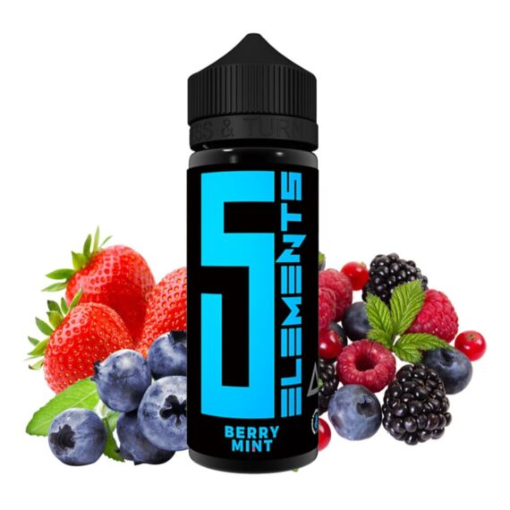 Vovan 5EL Berry Mint