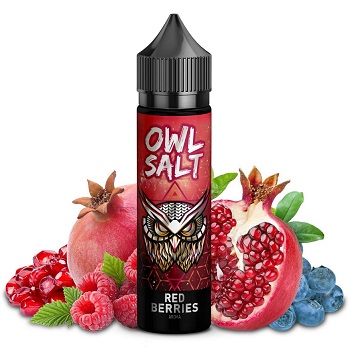 OWL Salt Red Berries 10/60